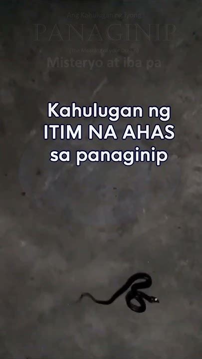 ahas na itim sa panaginip numero